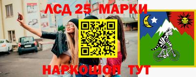 спиды Дубна