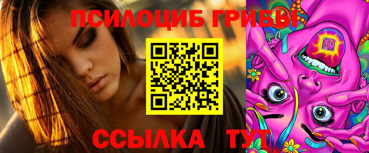 Галлюциногенные грибы прущие грибы  Вход с VPN  Луховицы 