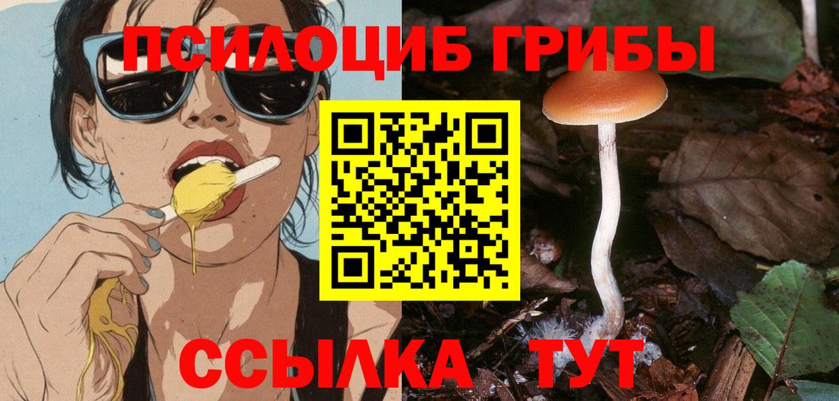 Галлюциногенные грибы Psilocybine cubensis Луховицы